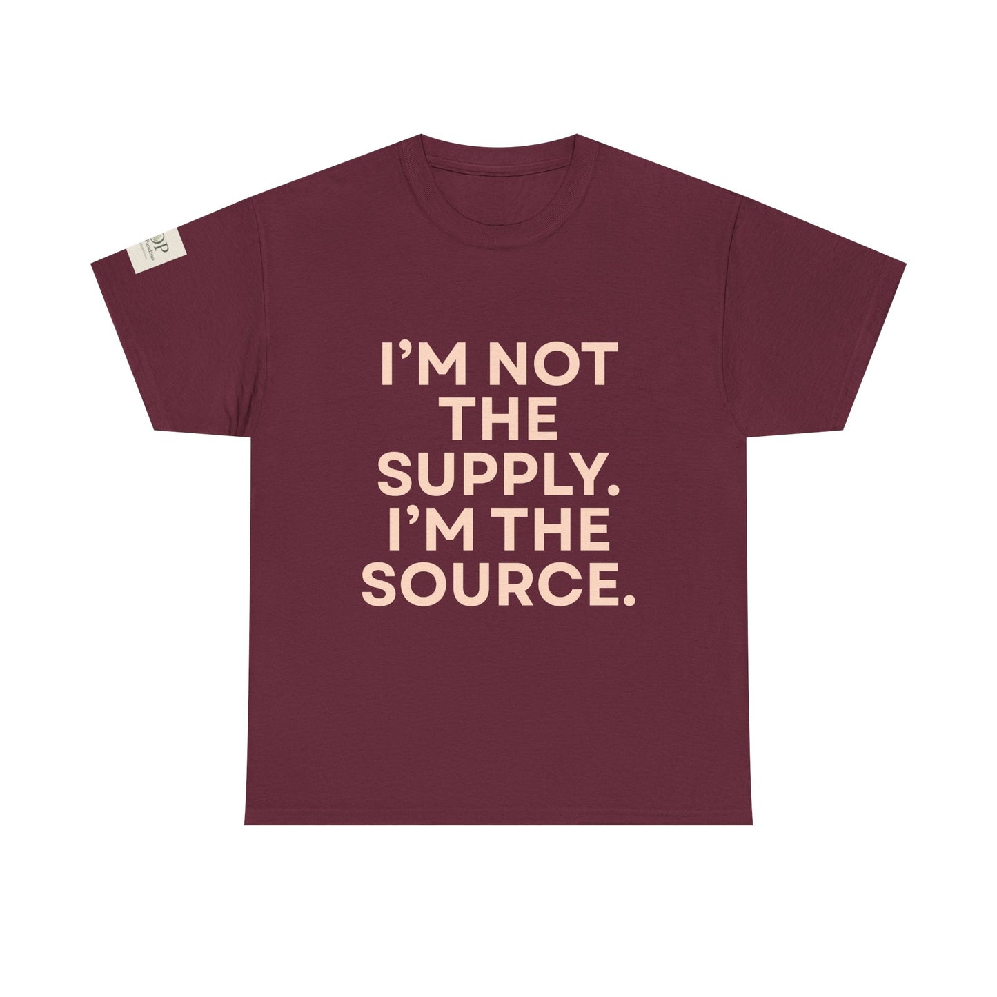 Inspirational Statement Tee – Unisex Cotton Shirt, Motivational Gift, Casual Wear, Trendy Top, Everyday Comfort