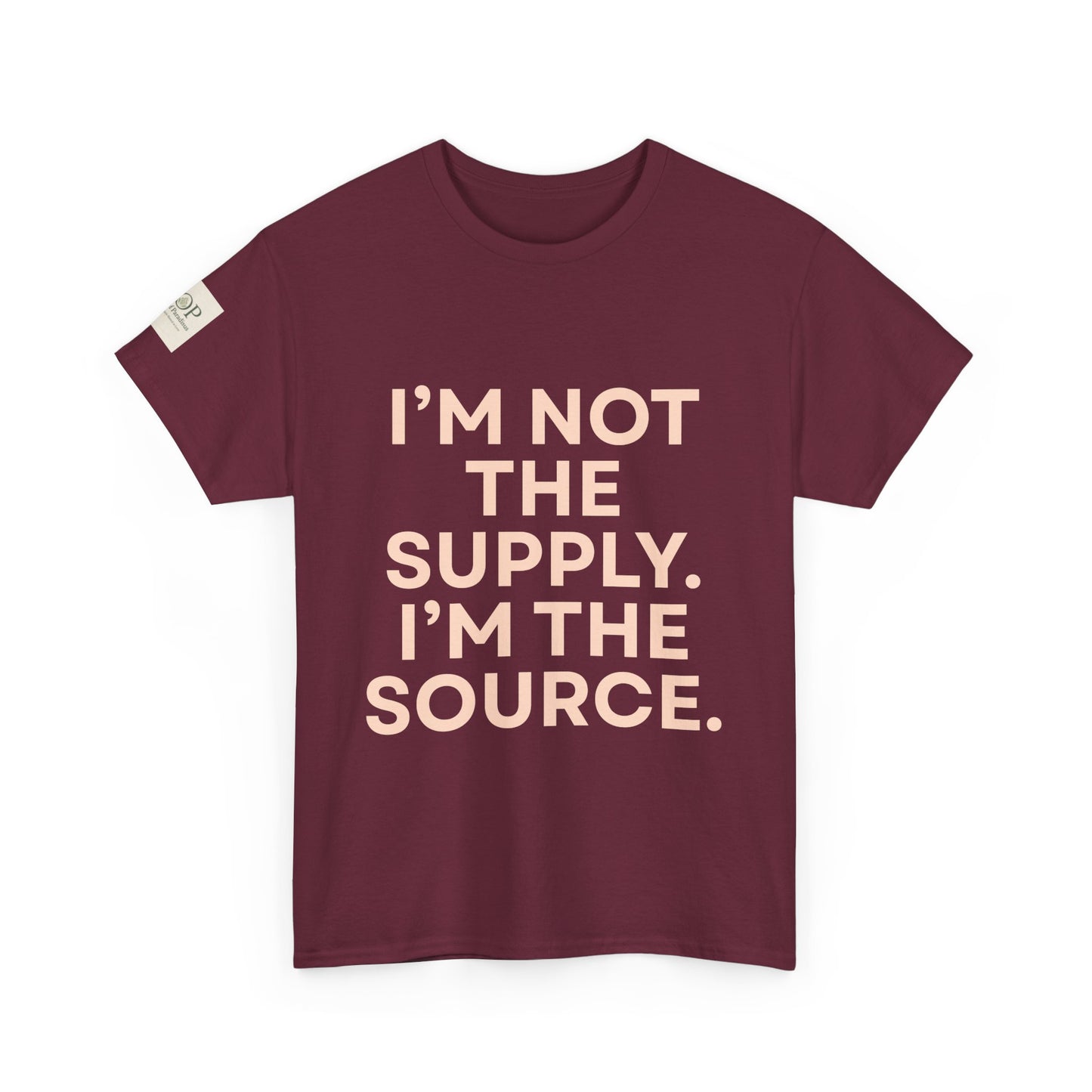 Inspirational Statement Tee – Unisex Cotton Shirt, Motivational Gift, Casual Wear, Trendy Top, Everyday Comfort